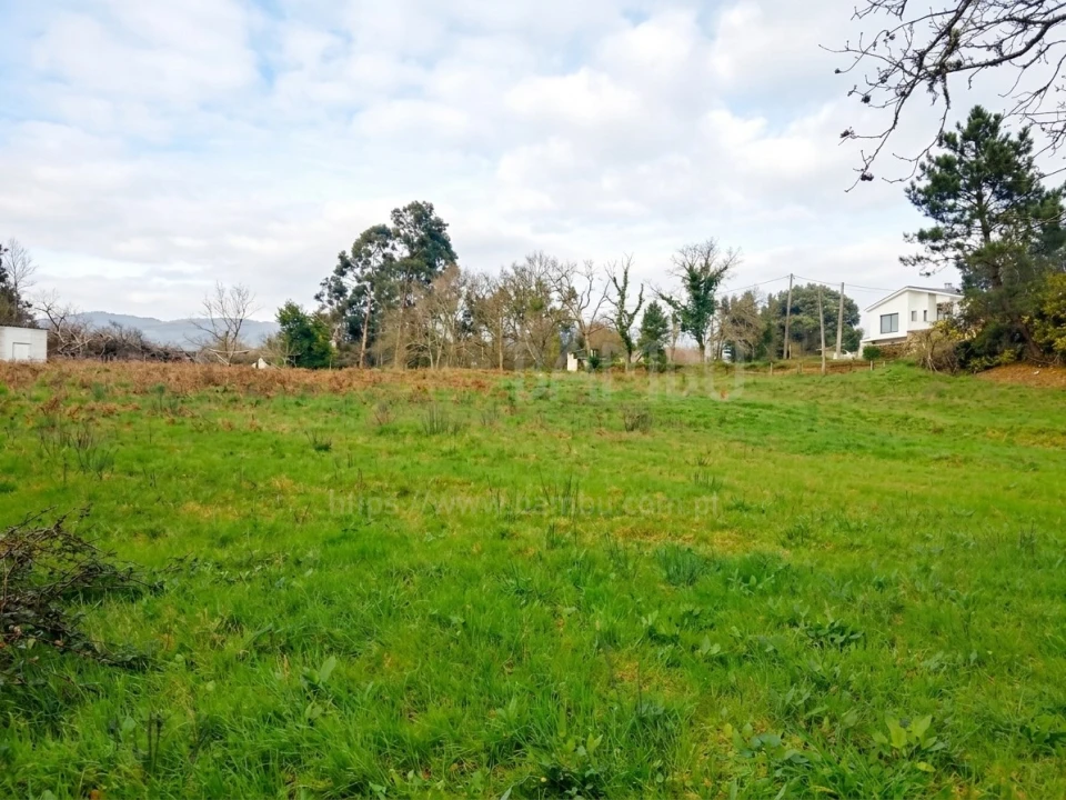 Terreno para Venda em Seixas Foto 1