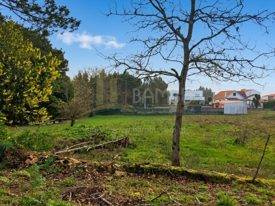 Terreno para Venda em Seixas Foto 3