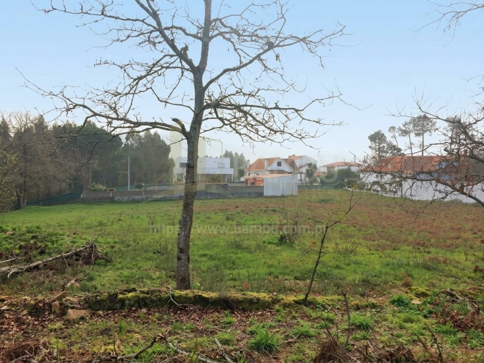 Terreno para Venda em Seixas Foto 5