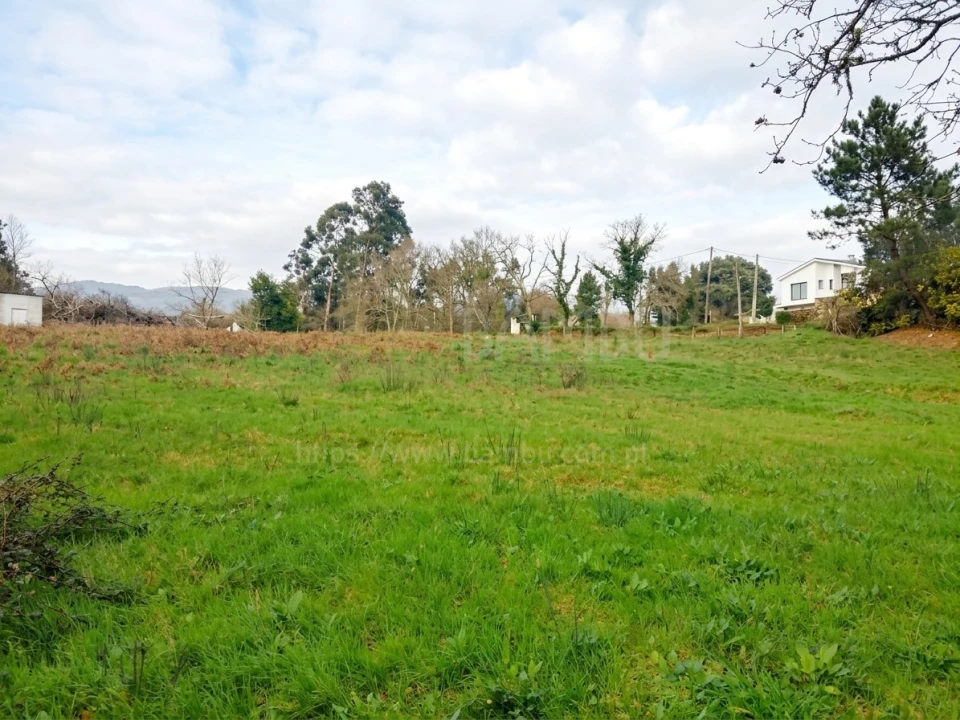 Terreno para Venda em Seixas Foto 6