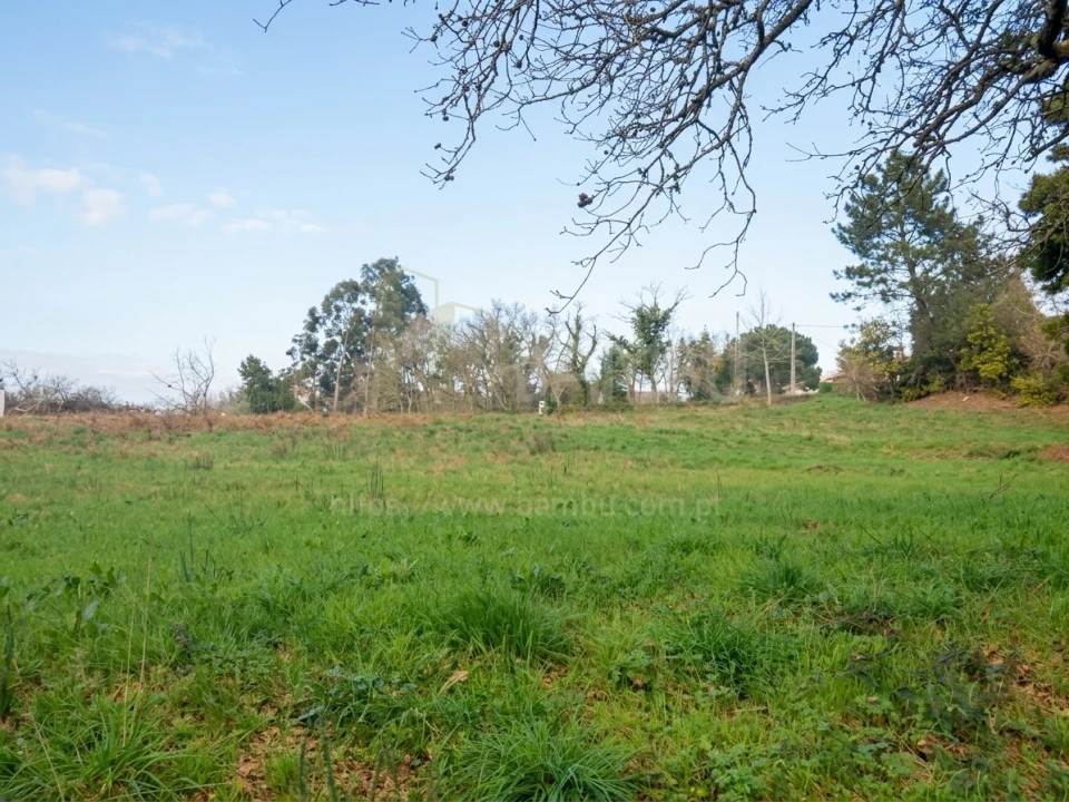 Terreno para Venda em Seixas Foto 7