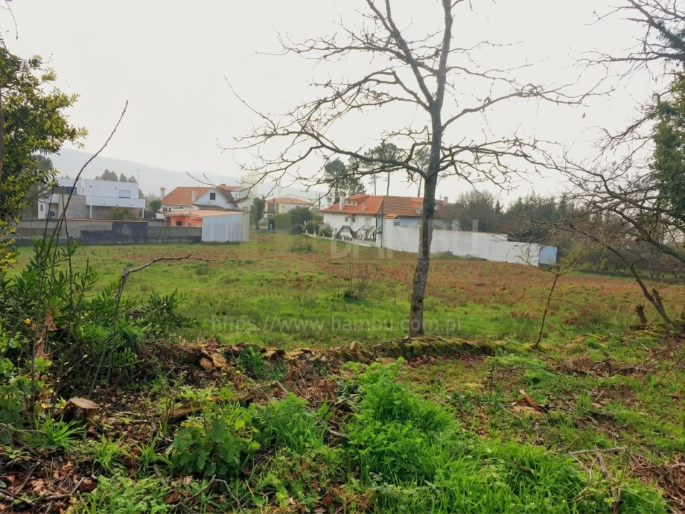 Terreno para Venda em Seixas Foto 4