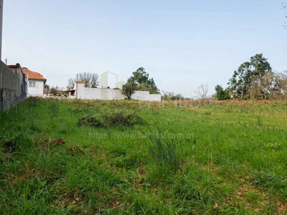 Terreno para Venda em Seixas Foto 8