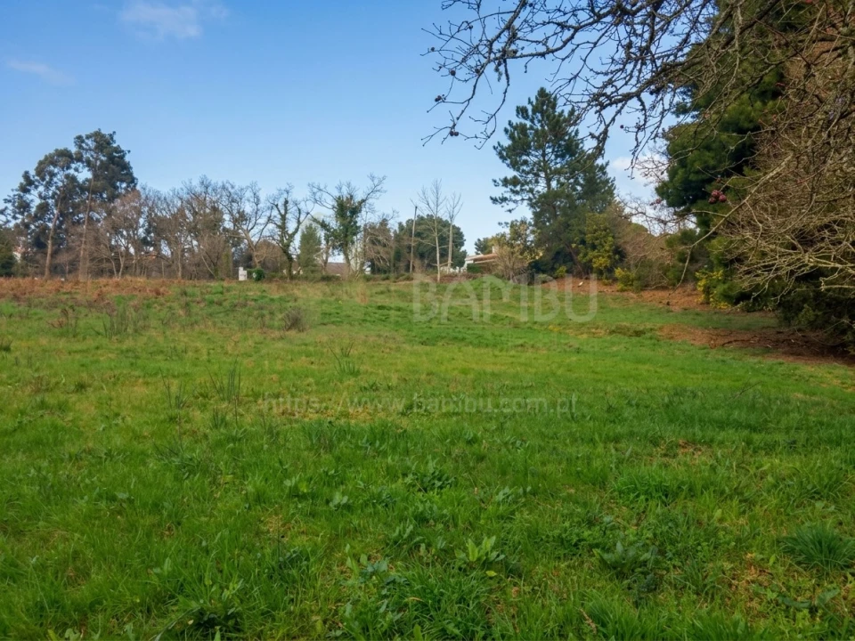 Terreno para Venda em Seixas Foto 9