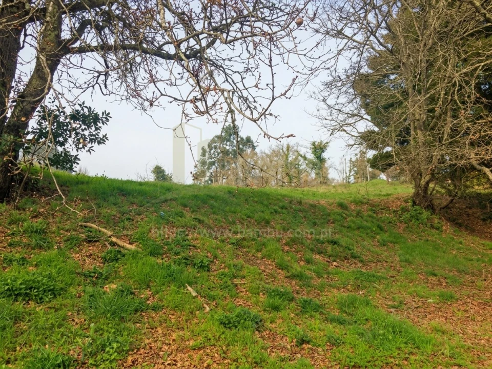 Terreno para Venda em Seixas Foto 2