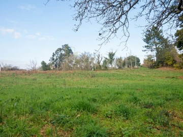 Terreno para Venda em Seixas
