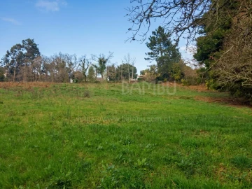 Terreno para Venda em Seixas