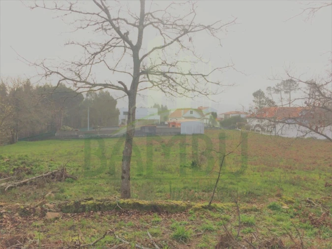 Terreno para Venda em Seixas Foto 7