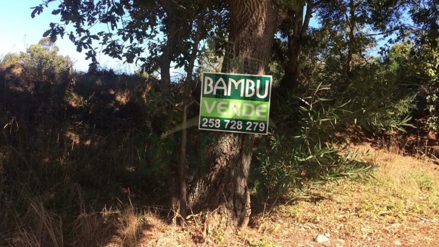 Terreno para Venda em Seixas Foto 8