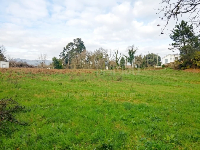 Terreno para Venda em Seixas Foto 6