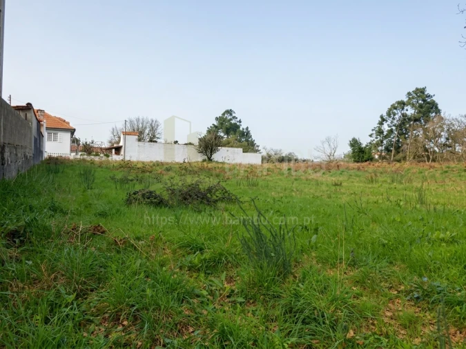 Terreno para Venda em Seixas Foto 8