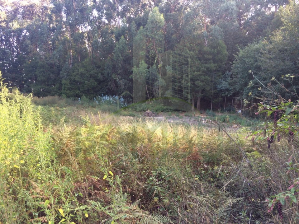 Terreno para Venda em Lanhelas Foto 4