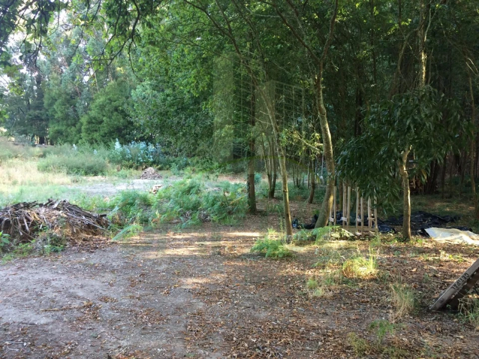 Terreno para Venda em Lanhelas Foto 1