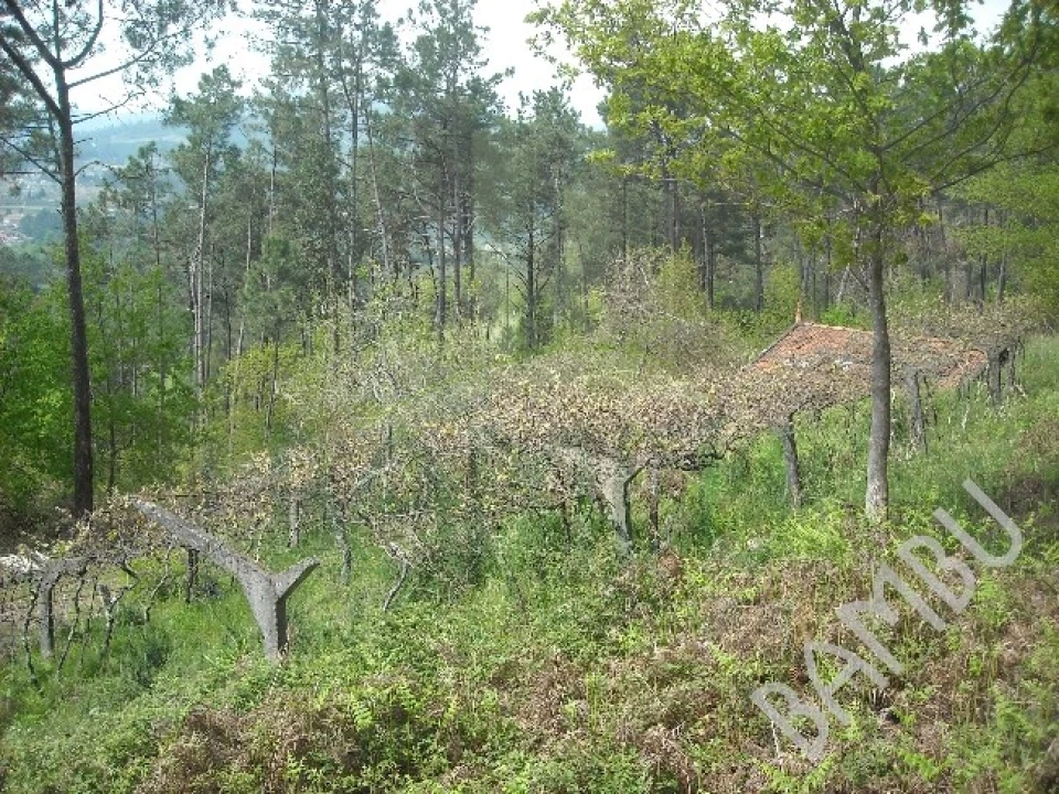 Terreno para Venda em Prado e Remoães Foto 4
