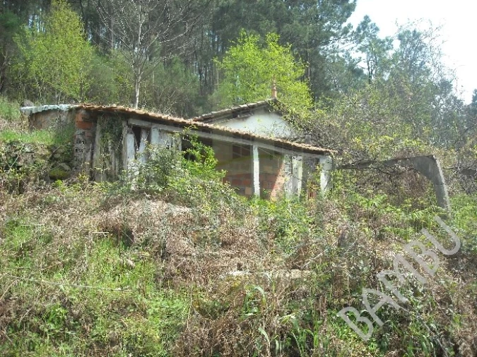 Terreno para Venda em Prado e Remoães Foto 7