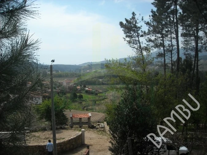 Terreno para Venda em Prado e Remoães Foto 9