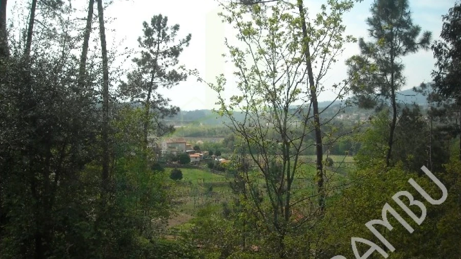 Terreno para Venda em Prado e Remoães