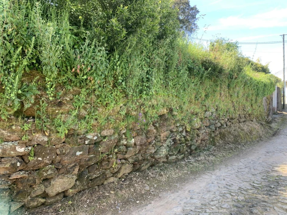 Terreno para Venda em Seixas Foto 6