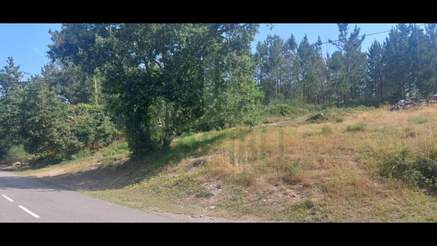 Terreno para Venda em Gondomil e Sanfins
