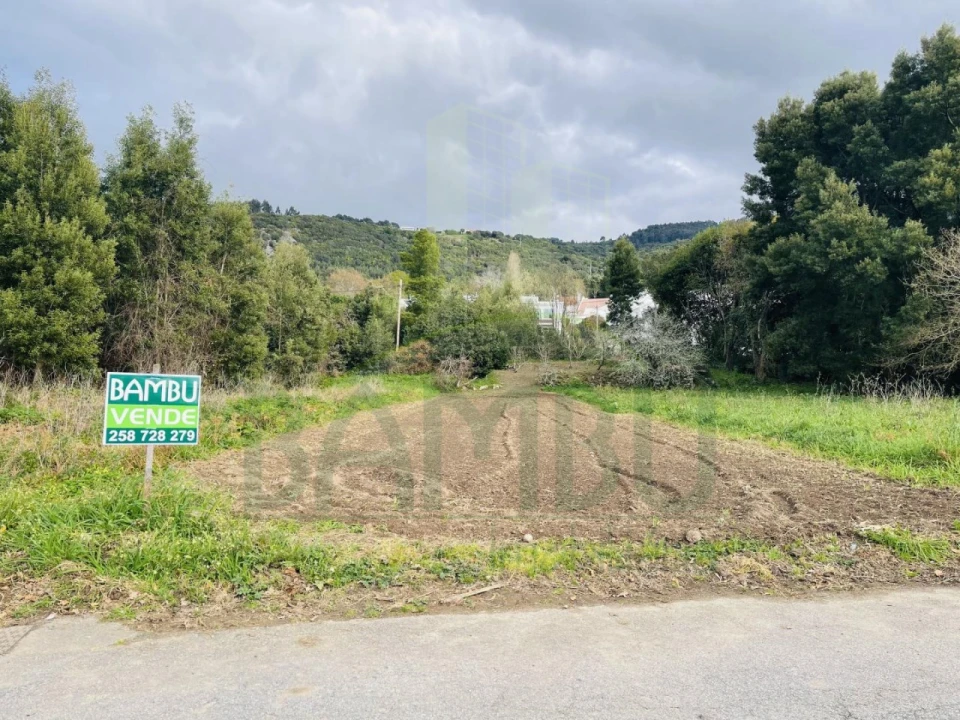Terreno para Venda em Moledo e Cristelo Foto 3