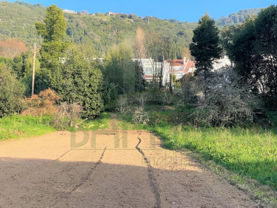 Terreno para Venda em Moledo e Cristelo Foto 4