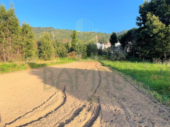 Terreno para Venda em Moledo e Cristelo Foto 2