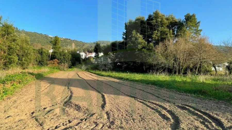 Terreno para Venda em Moledo e Cristelo