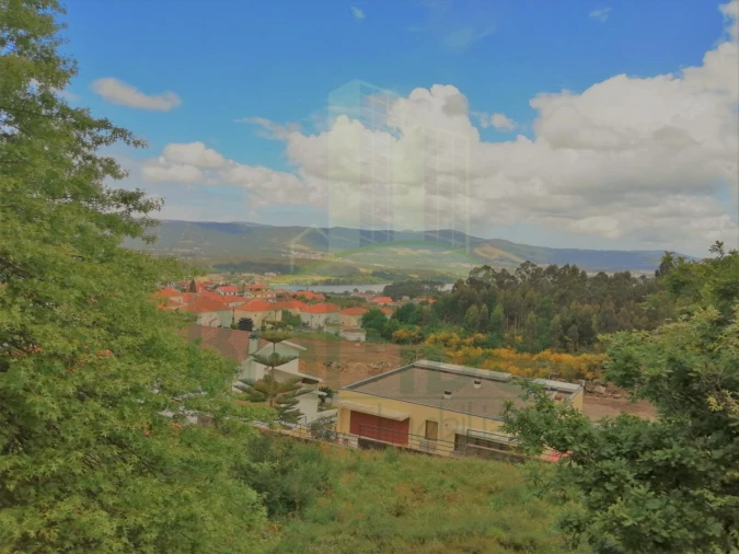 Terreno para Venda em Loivo