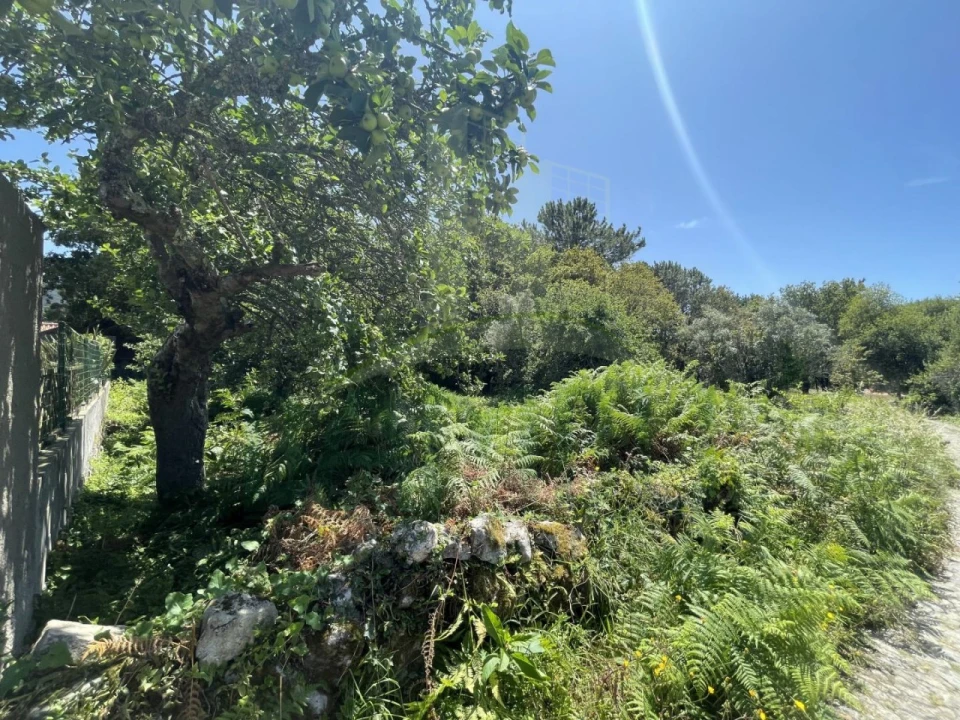 Terreno para Venda em Afife Foto 4