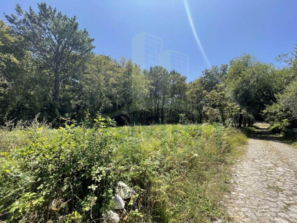 Terreno para Venda em Afife Foto 1