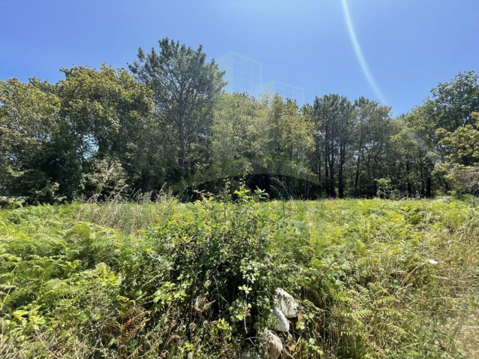 Terreno para Venda em Afife Foto 6