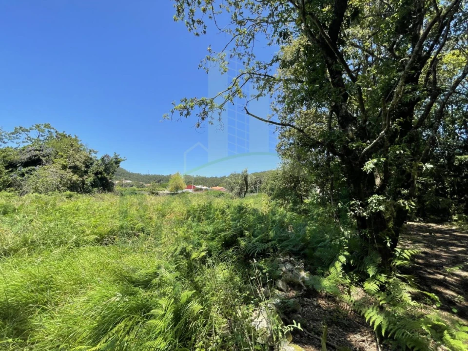 Terreno para Venda em Afife Foto 11
