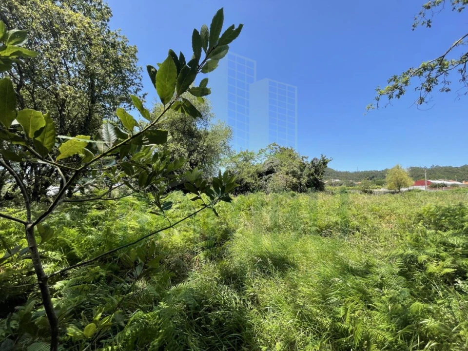 Terreno para Venda em Afife Foto 12