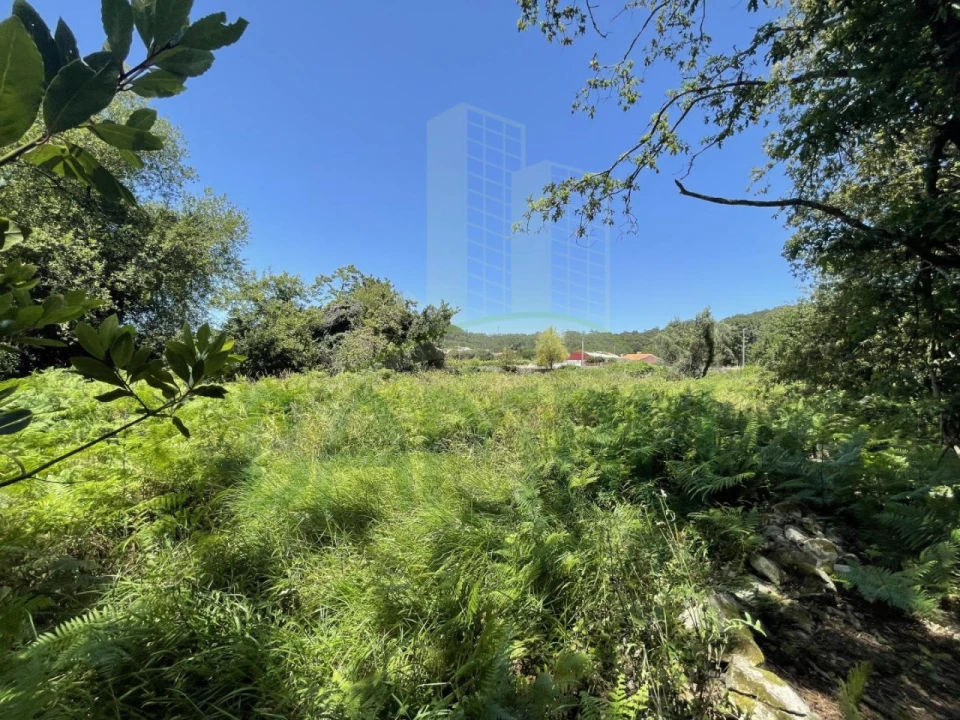 Terreno para Venda em Afife Foto 13