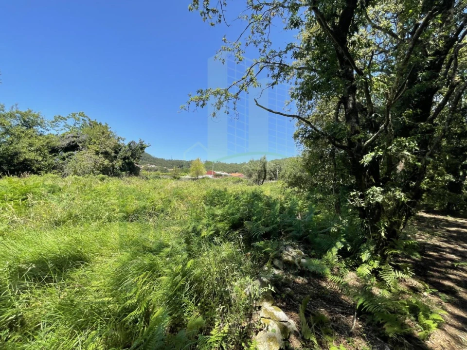 Terreno para Venda em Afife Foto 14
