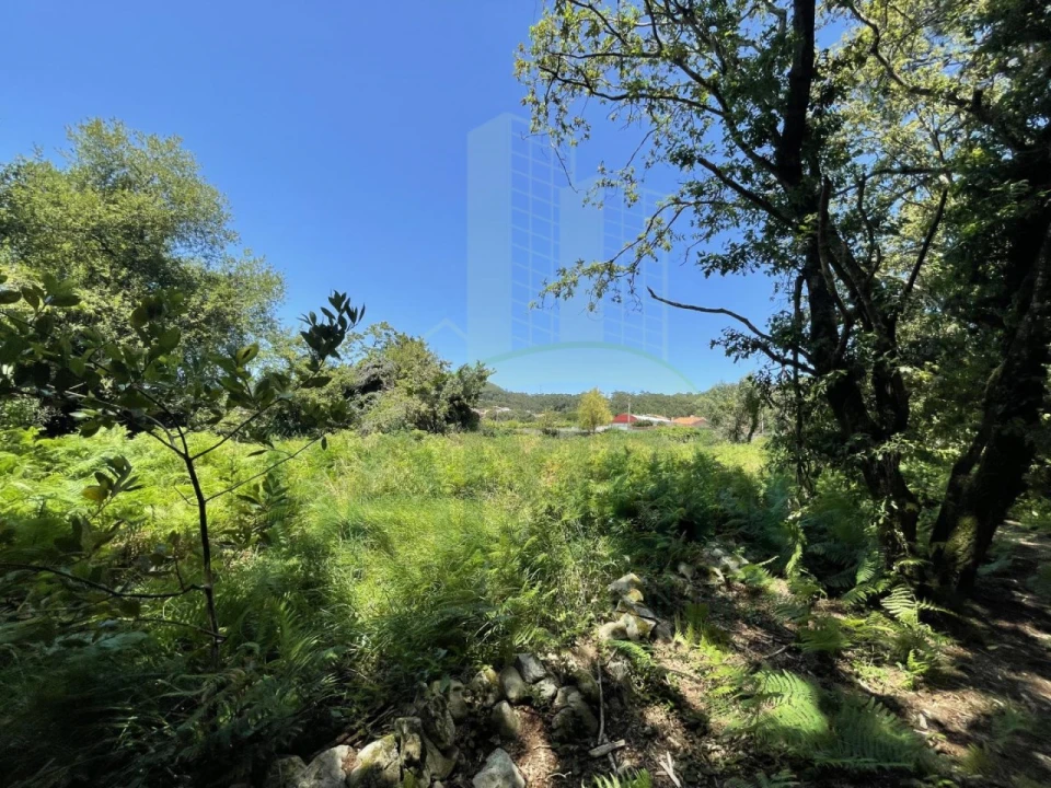 Terreno para Venda em Afife Foto 15