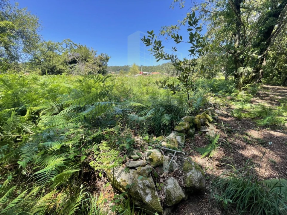 Terreno para Venda em Afife Foto 18