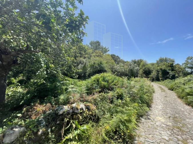 Terreno para Venda em Afife Foto 2