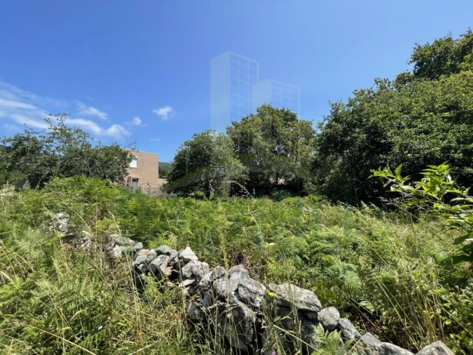 Terreno para Venda em Afife Foto 5