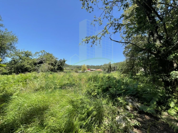 Terreno para Venda em Afife Foto 10