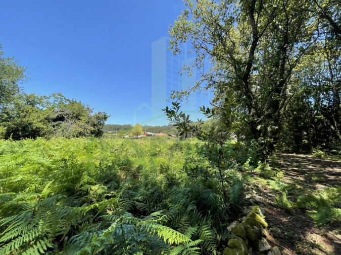 Terreno para Venda em Afife Foto 16
