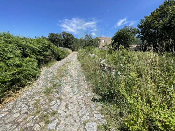 Terreno para Venda em Afife Foto 19