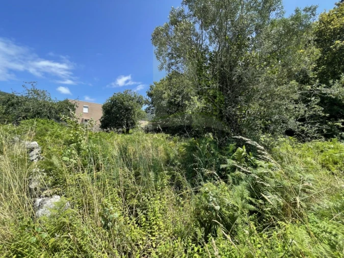 Terreno para Venda em Afife Foto 20