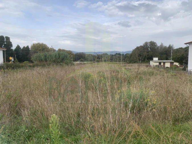 Terreno para Venda em Gondarem Foto 5