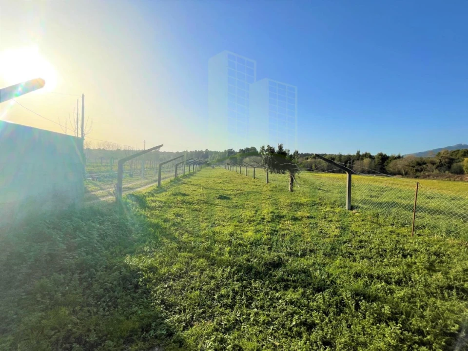 Terreno para Venda em Moledo e Cristelo Foto 2