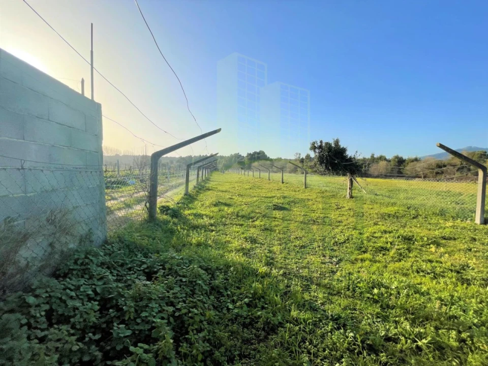 Terreno para Venda em Moledo e Cristelo Foto 1