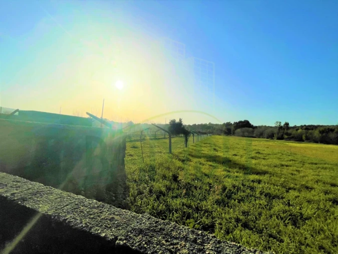 Terreno para Venda em Moledo e Cristelo Foto 5