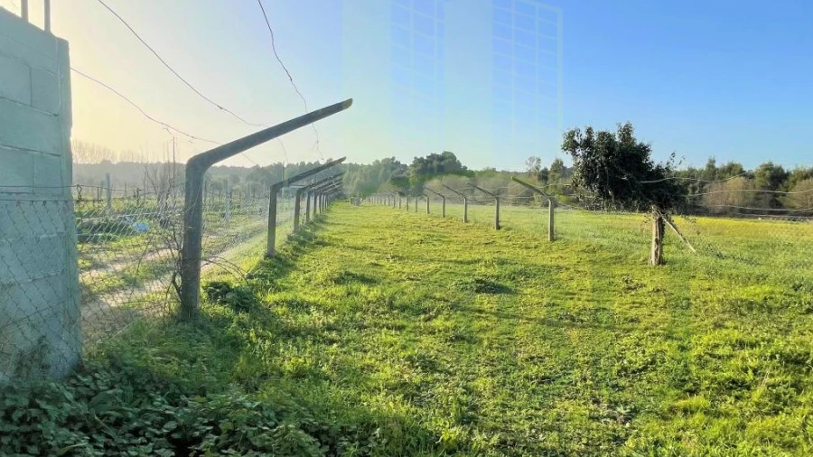 Terreno para Venda em Moledo e Cristelo