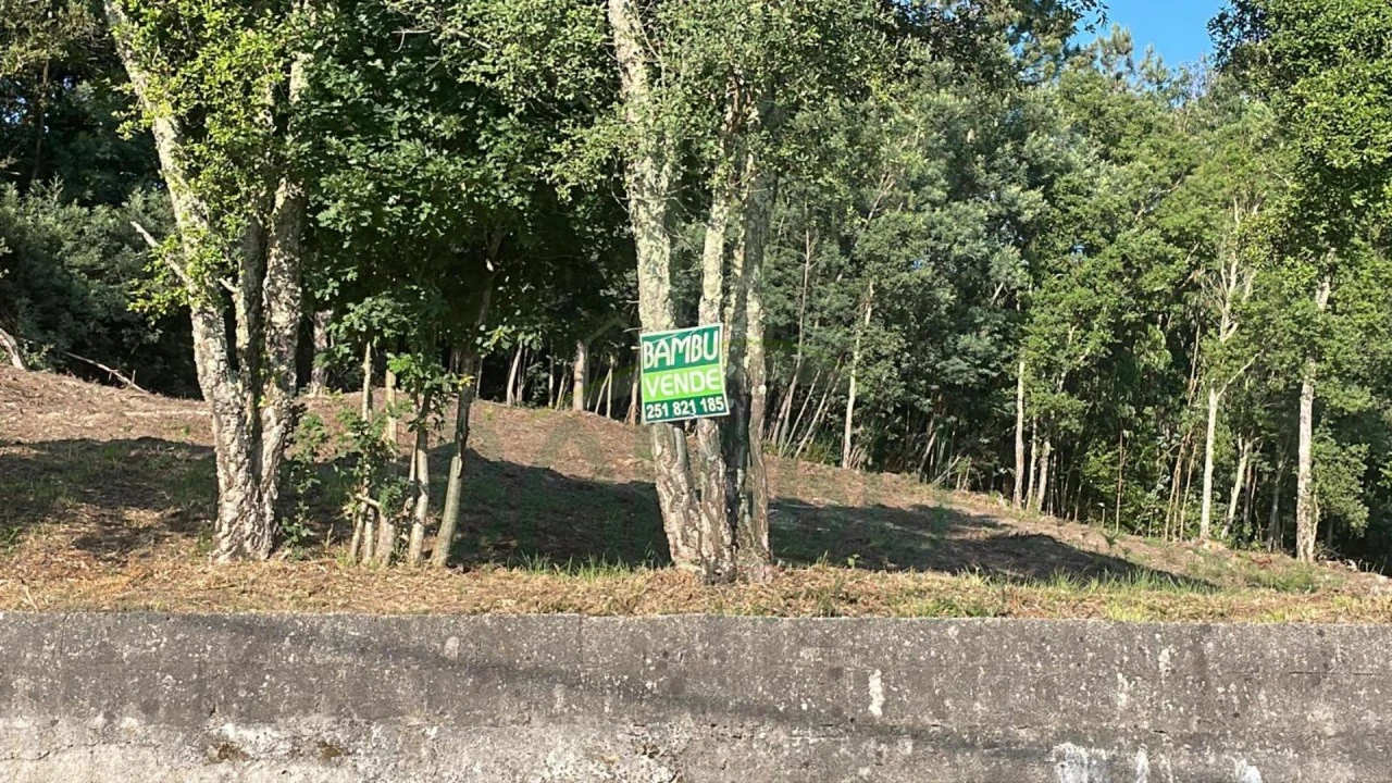 Terreno para Venda em Gandra e Taião Foto 1
