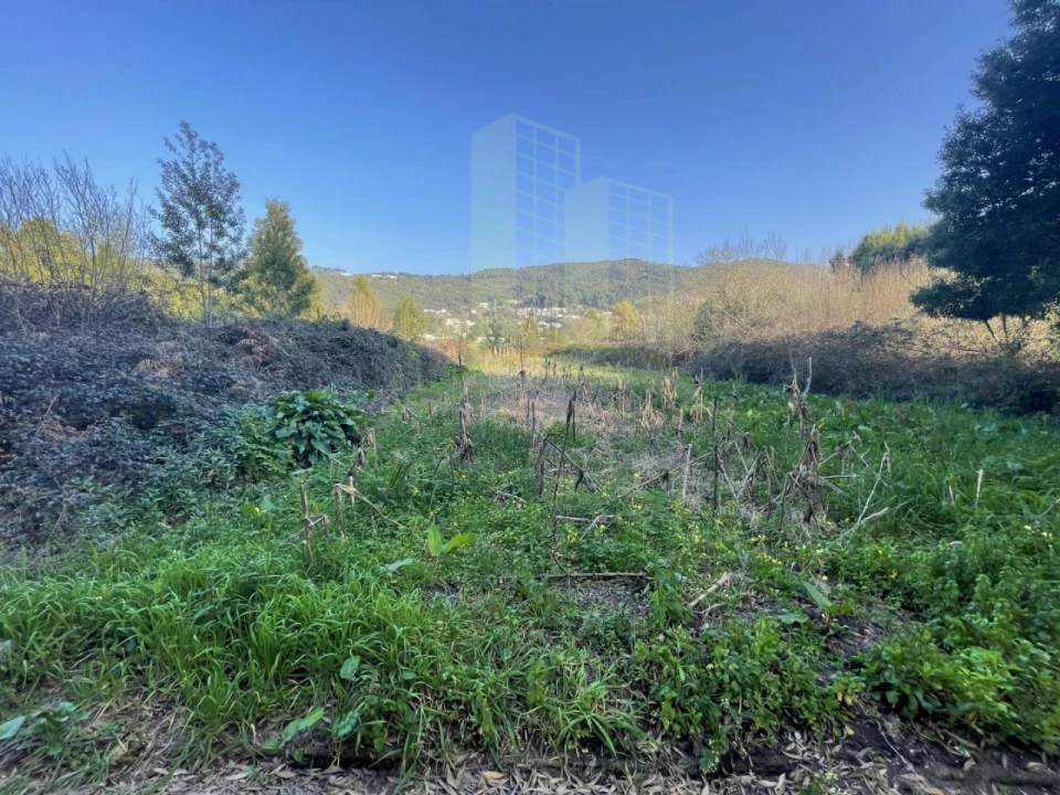 Terreno para Venda em Moledo e Cristelo Foto 6